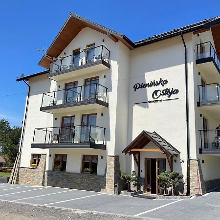 Pieninska Ostoja Bed & Breakfast Чоржин Екстериор снимка